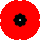 Remembrance Day poppy icon